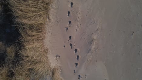 Deep-footprints-on-sandy-coastal-beach-near-dunes,-aerial-top-down-shot