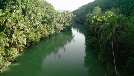 Beautiful-reflection-of-the-forest-edges-of-the-huge-filipino-jungle-in-the-Loboc-river-on-a-sunny-day-in-Thailand