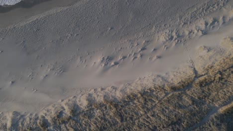 Sandy-dunes-and-coastal-beach,-aerial-top-down-shot