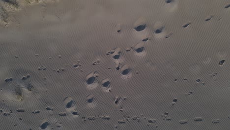 Footprints-on-sandy-coastal-beach,-aerial-top-down-ascend-rotate-shot