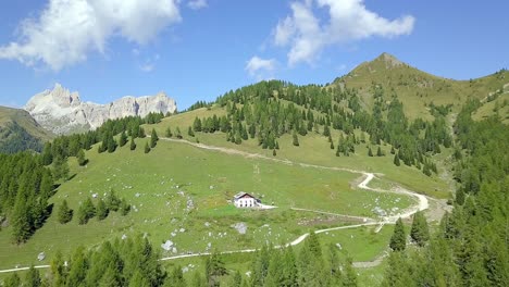 Drone-over-mountain-village-and-pine-trees,-slow-movement-in