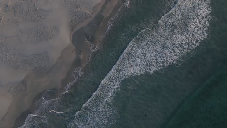 Foamy-ocean-waves-hitting-sandy-coastal-beach,-aerial-top-down-shot