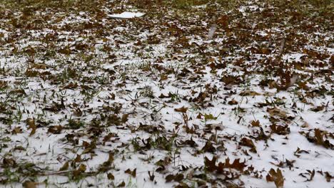 Static-video-of-snow-on-the-ground-and-more-snow-falling