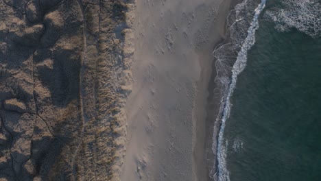 Sandy-wild-beach-with-foamy-ocean-waves-hitting-coast,-aerial-top-down-shot