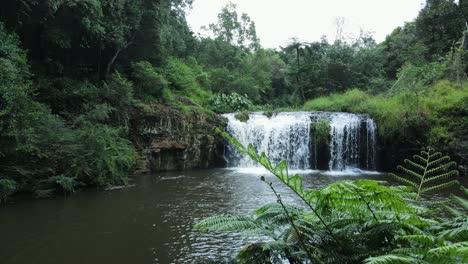 Una-Cascada-Aislada-Y-Un-Hoyo-Para-Nadar-Rodeado-De-Una-Exuberante-Selva-Tropical