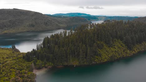 The-drone-flies-over-the-forest-and-lake-in-Whakarewarewa-Forest-Park