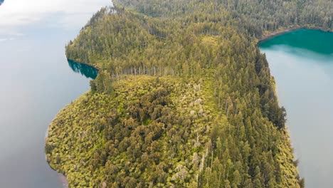 Die-Drohne-Fliegt-über-Den-Wald-Und-Den-See-Im-Whakarewarewa-Forest-Park