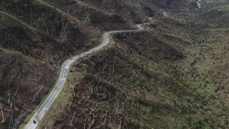 Winding-Road-On-Hillside-With-Coconut-Trees-Ravaged-By-Typhoon-Odette-In-Southern-Leyte,-Philippines