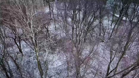 Luftaufnahme-Der-Weißen-Schneebedeckten-Landschaft-In-Der-Landschaft-Von-Westfield-Hamilton-County-Indiana-Vereinigte-Staaten