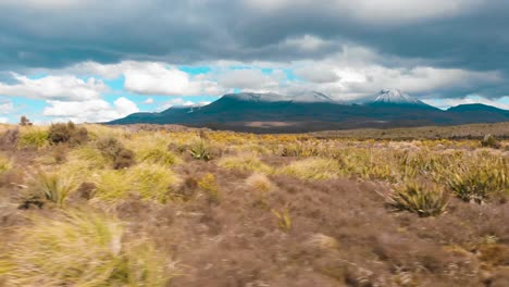 Campos-Con-Flores-De-Primavera-Y-Picos-Nevados-De-Volcanes-En-El-Fondo-Cerca-Del-Famoso-Parque-Nacional-Tongariro