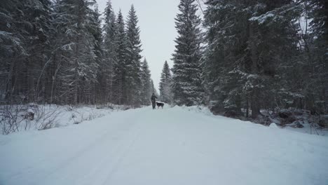 Man-With-Alaskan-Malamute-Pet-Dog-Walking-In-Deep-Snow-Road