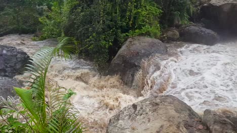 A-swollen-fast-flowing-river-after-a-big-downpour-of-heavy-rain-in-tropical-dense-rainforest-of-Bougainville,-Papua-New-Guinea