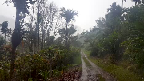 Starker-Regenguss-Mit-Wassertropfen,-Die-Herunterlaufen-Und-Das-Kameraobjektiv-Im-Abgelegenen-Tropischen-Regenwald-Von-Papua-Neuguinea-Verzerren