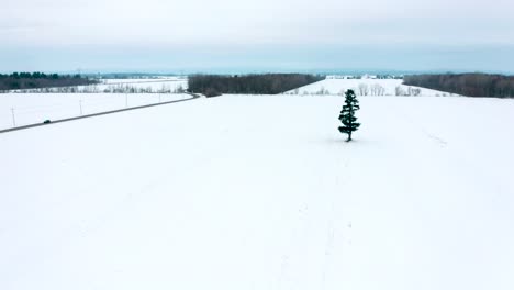Drone-Moviéndose-Hacia-Arriba-Y-Panoramizando-Sobre-Un-Camino-Rural-En-Invierno