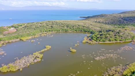 Aerial-view-of-mangroves-and-wetland-of-Azua,-Dominican-Republic