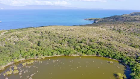 Herrliche-Landschaft-Mit-üppigen-Grünen-Wäldern-Und-Blauem-Meer-In-Los-Manglares,-Azua,-Dominikanische-Republik---Luftaufnahme
