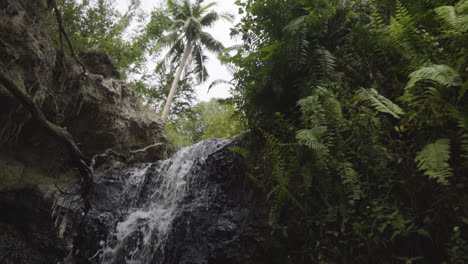 Kleiner-Wasserfallstrom,-Der-Von-Einer-Kleinen-Felsklippe-Herabfällt,-Umgeben-Von-Dichtem-Dschungelwald