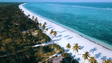 Amazing-aerial-flight-slow-motion-drone-shot-of-a-jogger-on-an-empty-lonely-paradise-white-sand-dream-beach-Zanzibar,-Africa-at-corona-lockdown