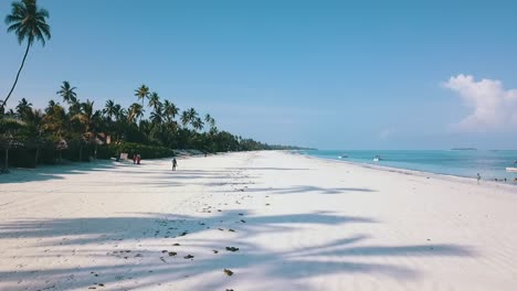 Calmer-aerial-flight-stable-tripod-drone-shot-from-a-little-visited-empty-nice-paradise-white-sand-dream-palm-beach-on-Zanzibar,-Africa-2019