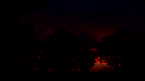 Sonnenuntergang-Im-Zeitraffer-Mit-Silhouette-Von-Bäumen