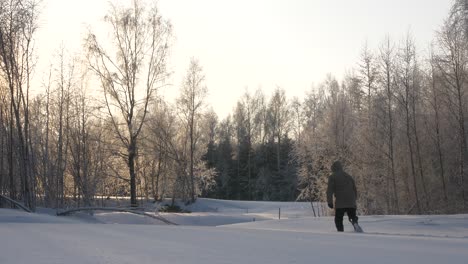 Hombre-Caminando-Con-Raquetas-De-Nieve-Por-El-Bosque-Lleno-De-árboles-Desnudos
