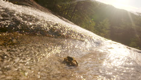Crawdad-crawling-by-a-mountain-waterfall,-into-the-sun