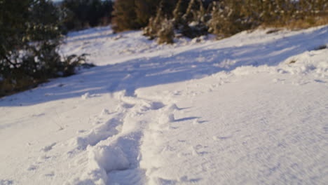Low-angle-shot-of-walking-on-a-snowy-ground