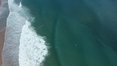 High-Aerial-Drone-View-Surfers-Floating-in-Green-Cold-Fresh-Atlantic-Ocean-Waves