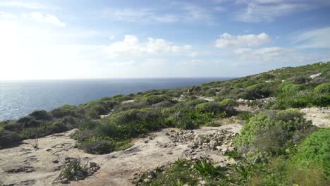 Rocky-Ground-with-Scarce-Greenery-Growing-near-Mediterranean-Sea-in-Gozo-Island