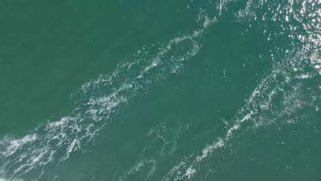 Top-Down-View-Surfers-Paddleboarder-Catching-Wave-in-Clear-Summer-Ocean-Water