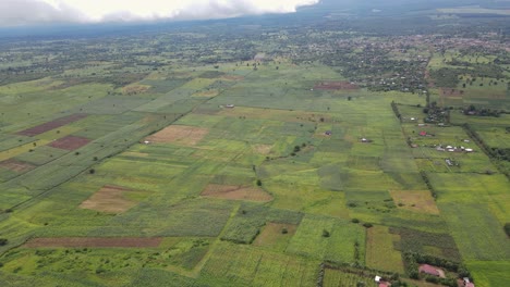Scenic-landscape-of-plantations-in-Loitokitok,-Southern-Kenya,-aerial-view