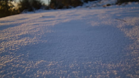 Low-angle-shot-of-walking-over-snow-on-a-sunny-winter-evening