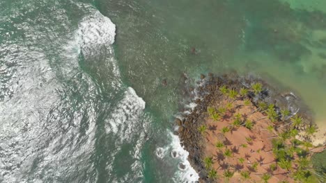 Luftaufnahme-Des-Wunderschönen-Strandes-In-Sri-Lanka-Mit-Kokospalmen-Und-Wellen,-Die-Zusammenstoßen