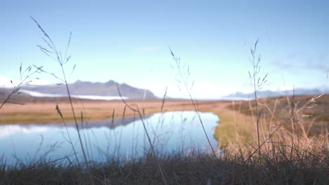 Cerca-De-Tallos-De-Hierba-En-La-Orilla-De-Un-Lago-En-Las-Montañas-De-Islandia