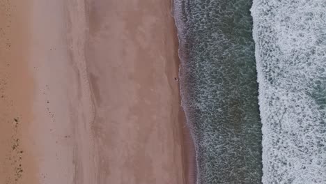 High-Drone-Aerial-View-of-Fisherman-Standing-Along-Beach-Shoreline-in-Cape-Cod