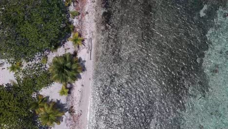 Drone-Aéreo-Vista-De-Arriba-Hacia-Abajo-Tropical-Arenoso-Playa-Remota-Arrecife-De-Coral-Poco-Profundo