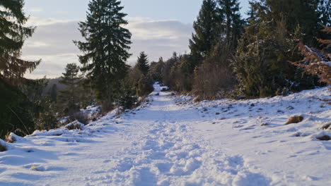 POV-wide-shot-of-walking-on-a-snowy-path-in-the-valley-Kiesental-near-Ulm,Germany