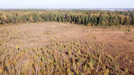 Majestic-Lithuanian-moorland-on-sunny-day,-aerial-ascend-shot