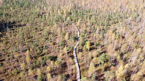 Tourist-walkway-leading-through-swampy-area-of-Lithuanian-forest,-aerial-drone-shot