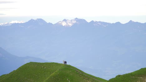 Hikers-trekking-on-scenic-mountain-ridge,-beautiful-alpine-landscape