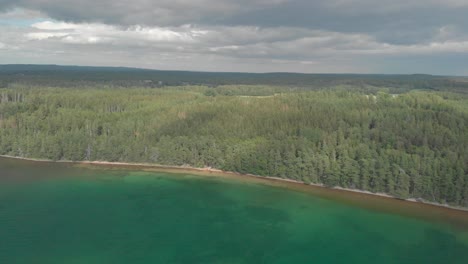 Aerial-view-of-woods-and-trees
