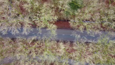 drone-shot-from-above-on-an-empty-forest-road