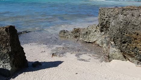 Bahamas-meerwasser,-Das-Sanft-Auf-Felsen-Bricht.-Nahansicht