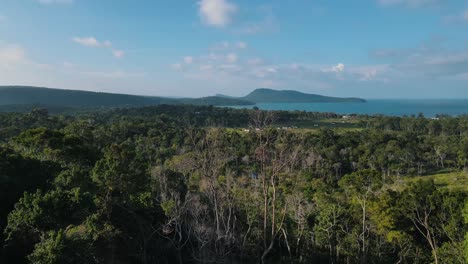 Beautiful-tall-trees-in-the-densely-forested-green-nature-of-the-touristic-island-of-Koh-Rong-Sanloem-in-Cambodia-on-a-clear-sunny-day-with-beautiful-views