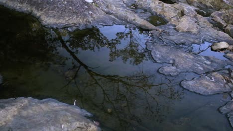 Shallow-rock-pool,-trees-reflected-in-water,-ripples-from-raindrops