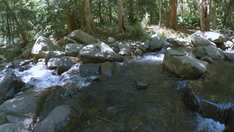 Schöner-Waldfluss---Naturbachbäume---Laufender-Frischer-Bach---Wasserstrom-Fließt-über-Felsen---4k-Schleifenhintergrund---Zedernbach-Qld
