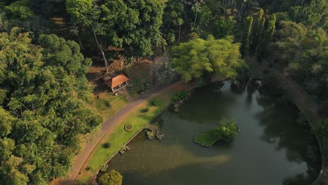 Aerial-shot-of-Botanical-Garden-landscape-in-Peradeniya,-Kandy,-Sri-Lanka