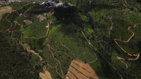 Riesige-Grünteeplantagen-Auf-Steilen-Hügeln-Mit-Mehreren-Gewundenen-Wanderpfaden-Durch-Die-Teeplantagen-In-Ella-In-Sri-Lanka,-Während-Sich-Der-Schatten-Einer-Großen-Wolke-Langsam-Bewegt