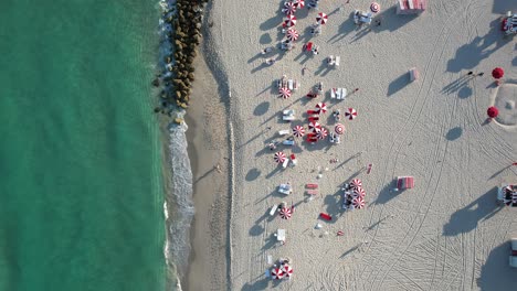 Aerial-view-above-birds-flying-around-sun-chairs-and-parasols-at-a-beach,-in-Miami,-USA---top-down,-drone-shot
