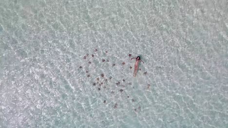 Sexy-WOMAN-swim-with-STARFISH-in-clear-crystal-sea,-Aerial-top-view-LOS-ROQUES